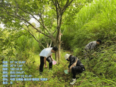 严把质量关 守护林产平安 隆阳区林草局完成20